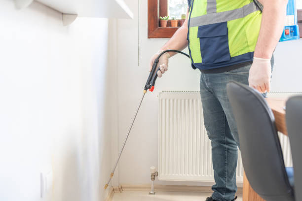 Best Pest Control Near Me  in Hampton, SC